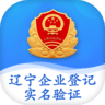 辽宁企业登记实名验证 v1.6