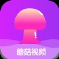 蘑菇视频最新版 1.0.4