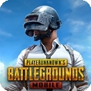 pubg国际服2024最新版本 v2.9.0