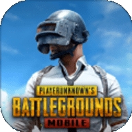 pubg绿体内透文件直装版安装包 v2.5.0