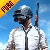 pubg绿体内透防封版 v2.03.00