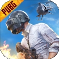 北辰pubg轻体直装v17美化包防封版 v1.96.00