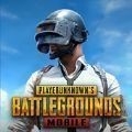 zolo鬼头辅助pubg直装版 v2.21.00