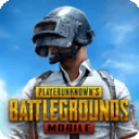 神龙pubg功能obb v2.12.00